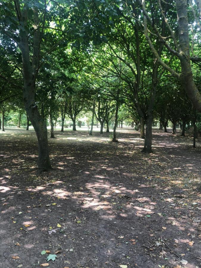 Hallstead Skegness Kültér fotó